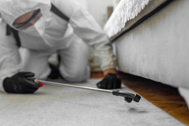 Professional Bed Bug Control technician working in St. Clair County County, IL